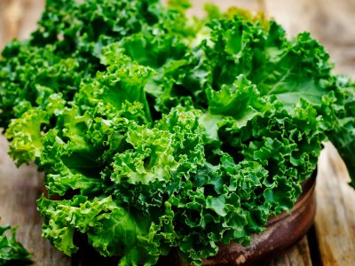 Kale, Nero di Toscano - My Store