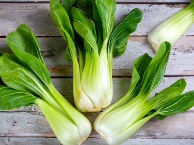 Pak Choi, Hanakan - My Store