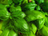 Basil, Lime - My Store
