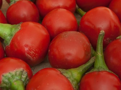 Chilli Pepper, Cherry Bomb - My Store