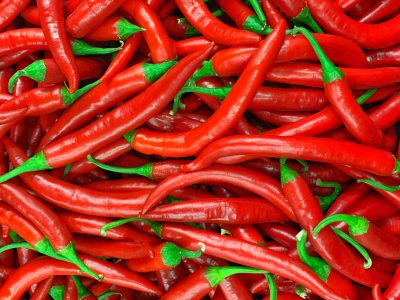 Chilli Pepper, Hot Lolly - My Store