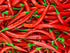 Chilli Pepper, Hot Lolly - My Store