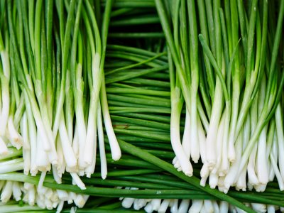 Chives, Garlic - My Store
