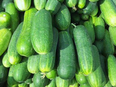 Cucumber, Mini Munch - My Store