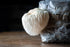 Fresh Lions Mane - My Store