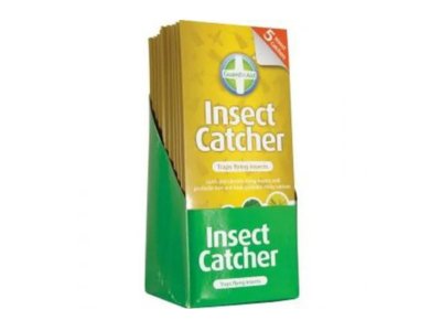 Sticky Bug Traps - My Store