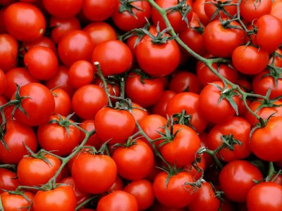 Tomato, Cherry - My Store