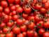Tomato, Cherry - My Store