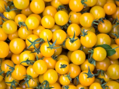 Tomato, Sundrop - My Store