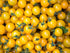 Tomato, Sundrop - My Store