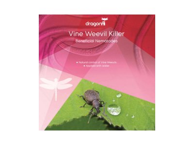 Vine Weevil Killer, 20sqm - My Store